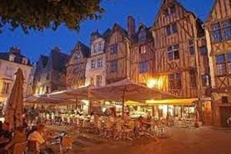 Havre De Paix Avec Exterieur Au Coeur Du Vieux Tours Apartment Ngoại thất bức ảnh